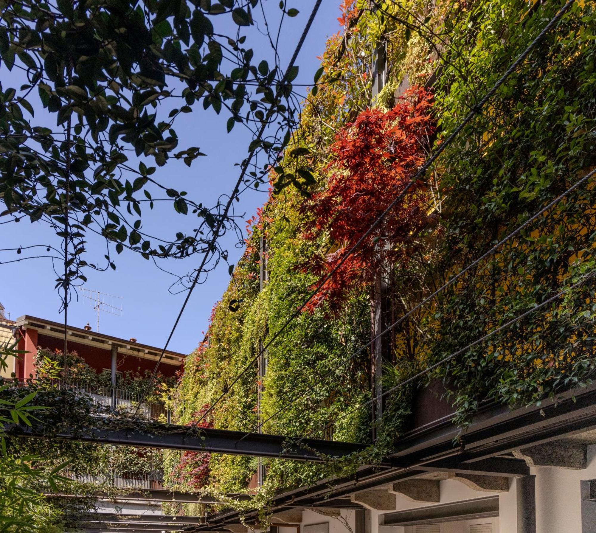 Residence Casa Coppa Appartamento Jasmine オメーニャ エクステリア 写真