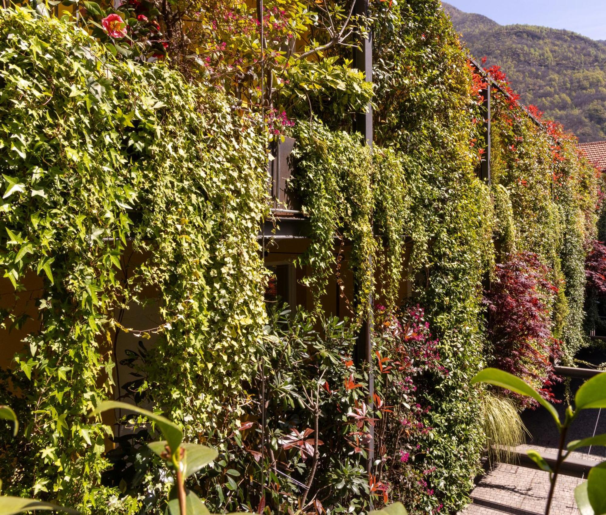 Residence Casa Coppa Appartamento Jasmine オメーニャ エクステリア 写真